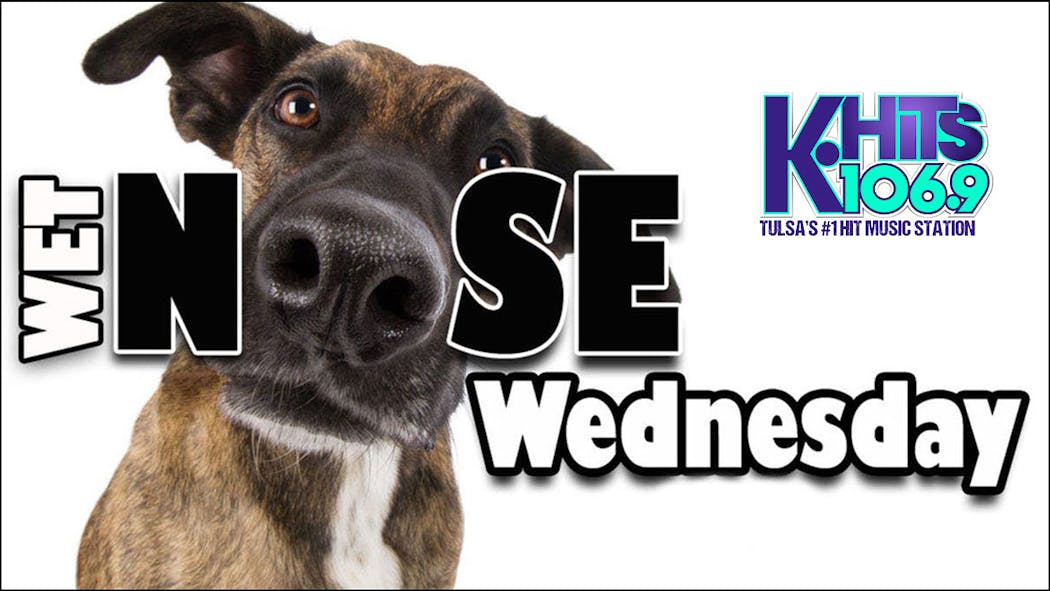 Wet Nose Wednesday 2025