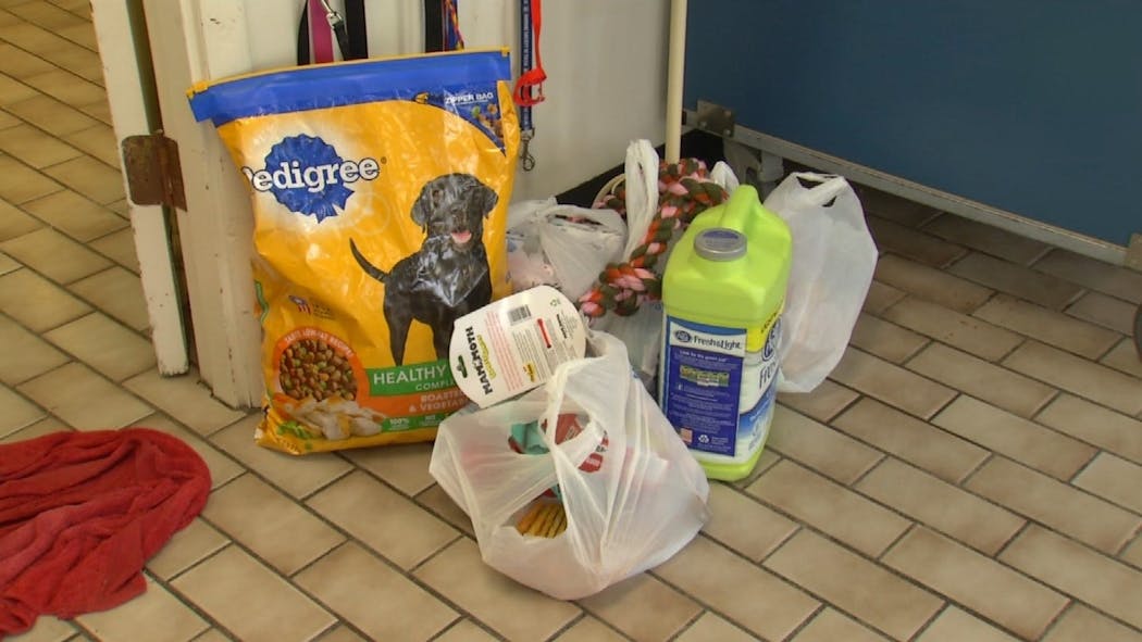 Rescued Animals At Tulsa Humane Society Need Donations