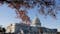 House Passes Defense Bill Scrapping Military COVID Vaccine Mandate