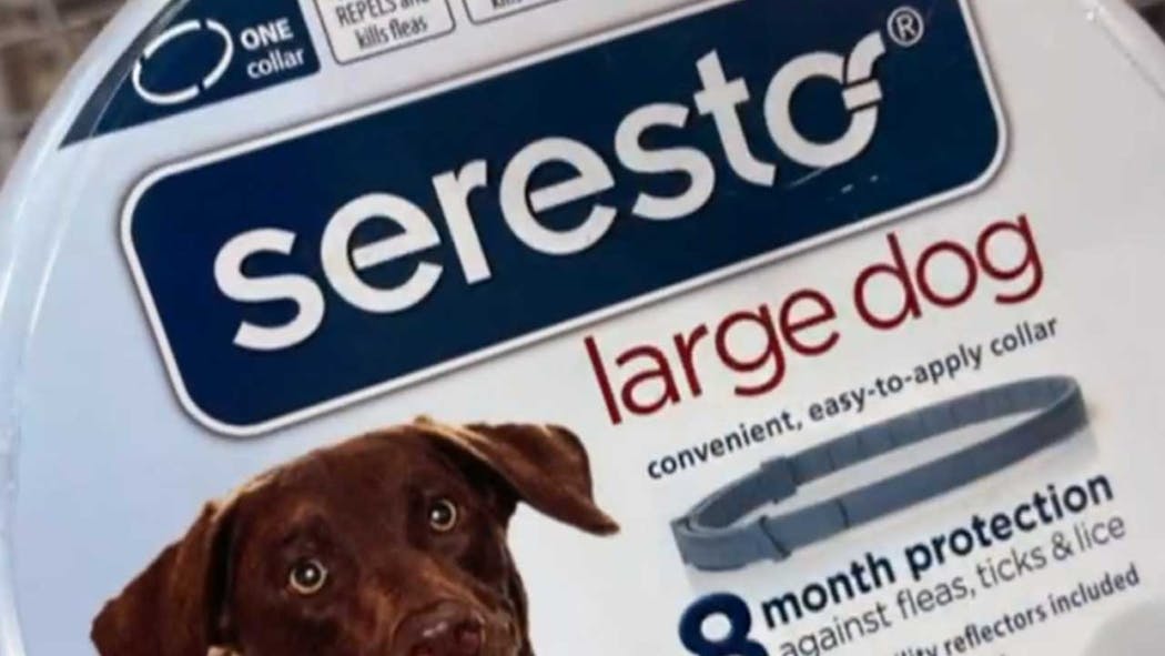 Seresto Flea Collar Should Be Recalled After 2,500 Pet Deaths,