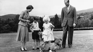 A Queen And Her Corgis: Elizabeth Loved Breed From Childhood