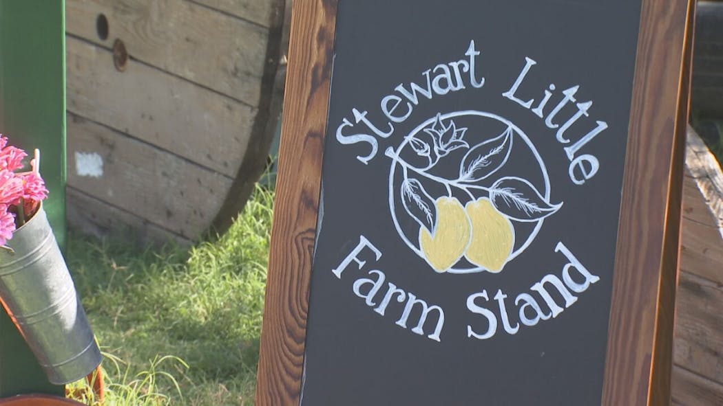 Stewart Little Farm Stand