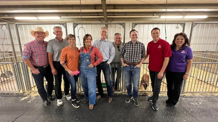 News On 6 In The Morning Team Kisses Pigs For Charity