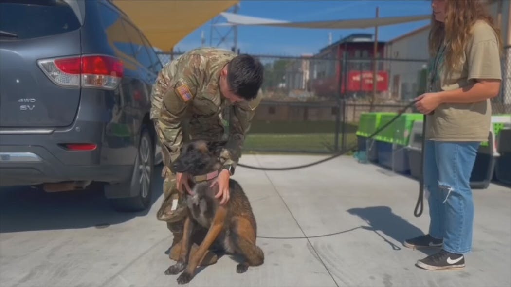 Oklahoma German Shepherd Rescue Grants Veterans With Trained Dogs