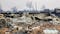 Mannford family expecting baby loses home, animals, rabbit farm in wildfire