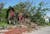 Tornado outbreak: four killed in St Louis storm