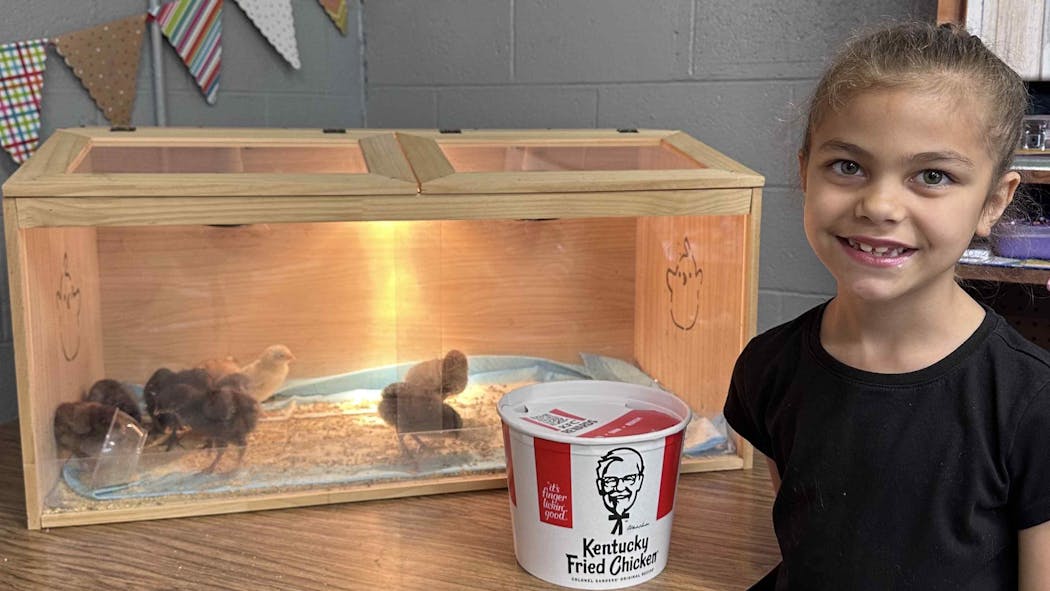 Hartshorne Elementary student takes home chicks in KFC Bucket