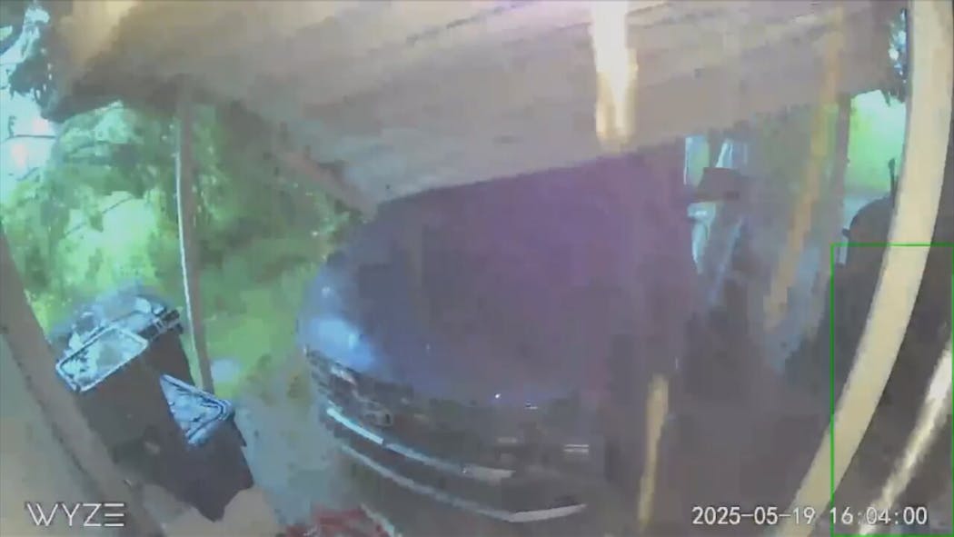Storm Knocks Tree onto Car