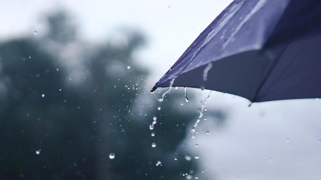 Umbrella - rain - 2025 - flood