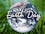 Earth Day festival returning to Scissortail Park