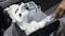 Plastic bag bans and fees work to curb litter, study says