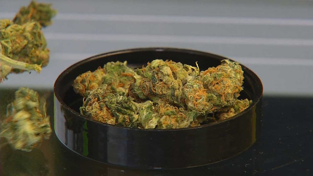 Medical Marijuana Supporters Protest Proposed Bills