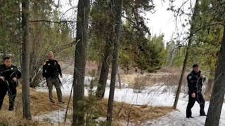 Grizzly Bear Kills Guide Just Outside Yellowstone National Park