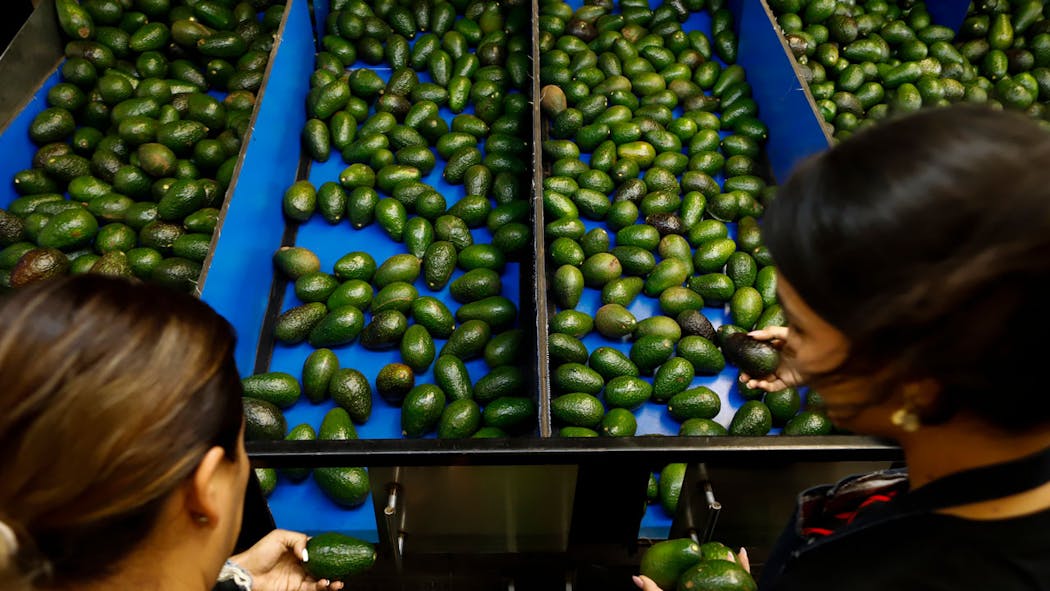 Avocados From Mexico