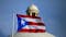 Environmental Groups Sue US Over Puerto Rico Dredging Plan