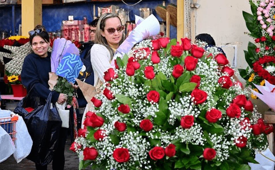 California woman shops for flowers.