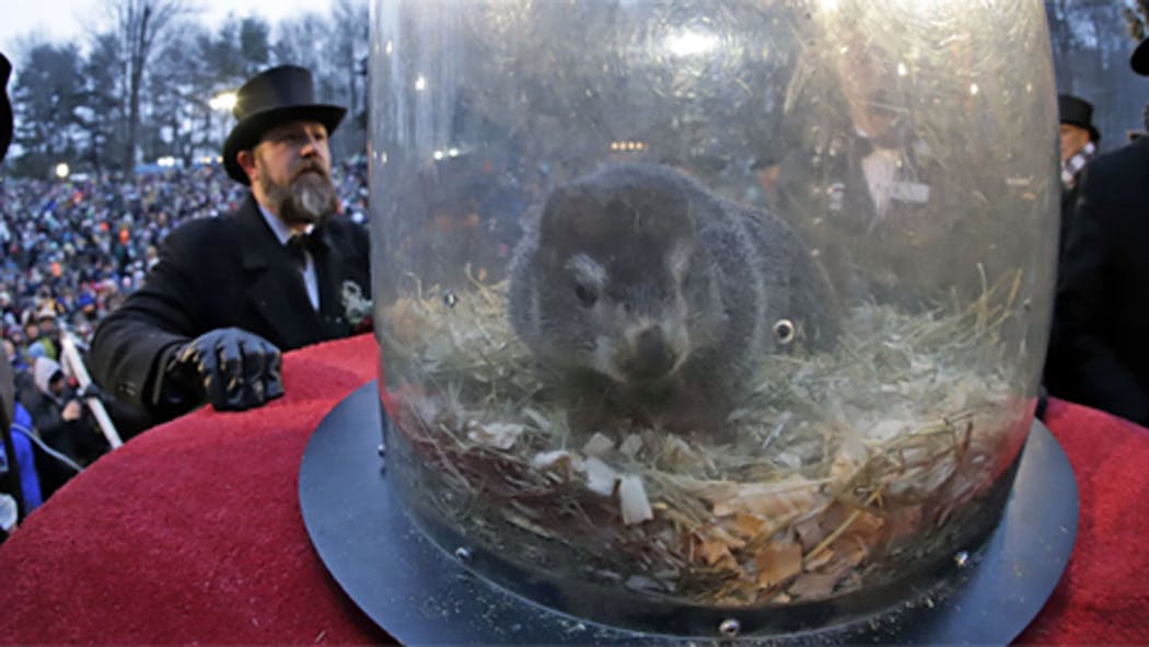 punxsutawney phil 2025