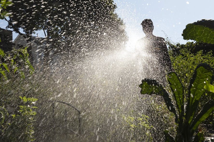 watering lawn