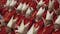 Choosing the new Pope: Cardinals sequestered in Vatican